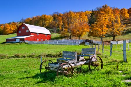 NC Farm 
